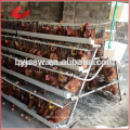 Galvanized Poultry Chicken Cage With Automatic Drinking System